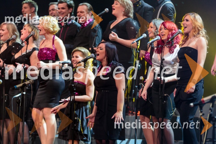 Perpetuum JazzilePerpetuum Jazzile, The show