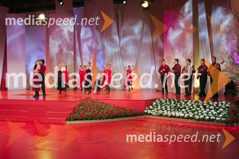 13. festival Polka in valček