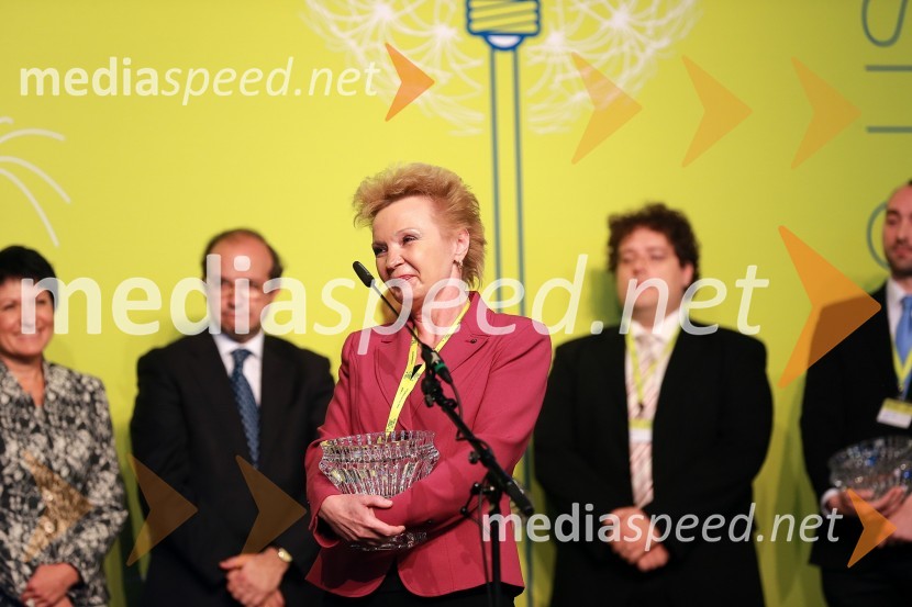 Martina Kandol, Steklarna Hrastnik8. slovenski forum inovacij 2013, prvi dan