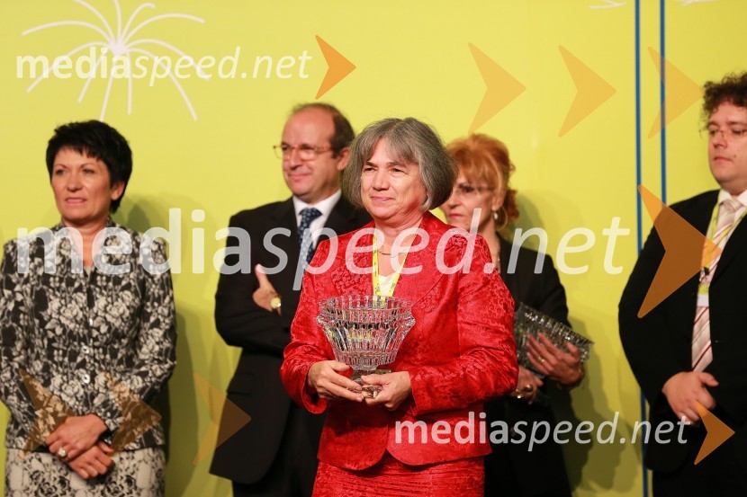 Dr. Jožica Rejec, direktorica Domel d.o.o.8. slovenski forum inovacij 2013, prvi dan