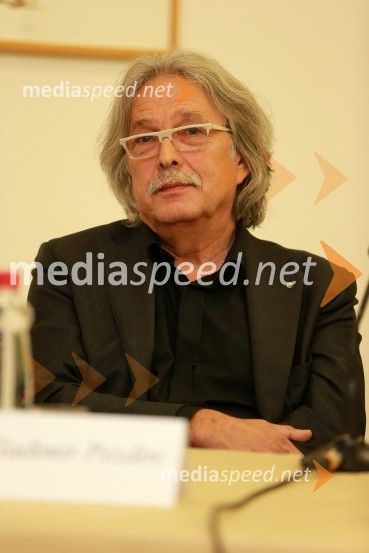 Prof. Vladimir Pezdirc8. slovenski forum inovacij 2013, prvi dan