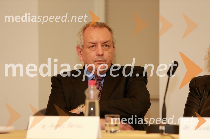 Janez Škrlec, predsednik odbora za znanost in tehnologijo pri Obrtno podjetniški zbornici Slovenije8. slovenski forum inovacij 2013, prvi dan