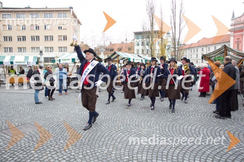Godba na pihalaMartinovanje v Ljubljani 2013