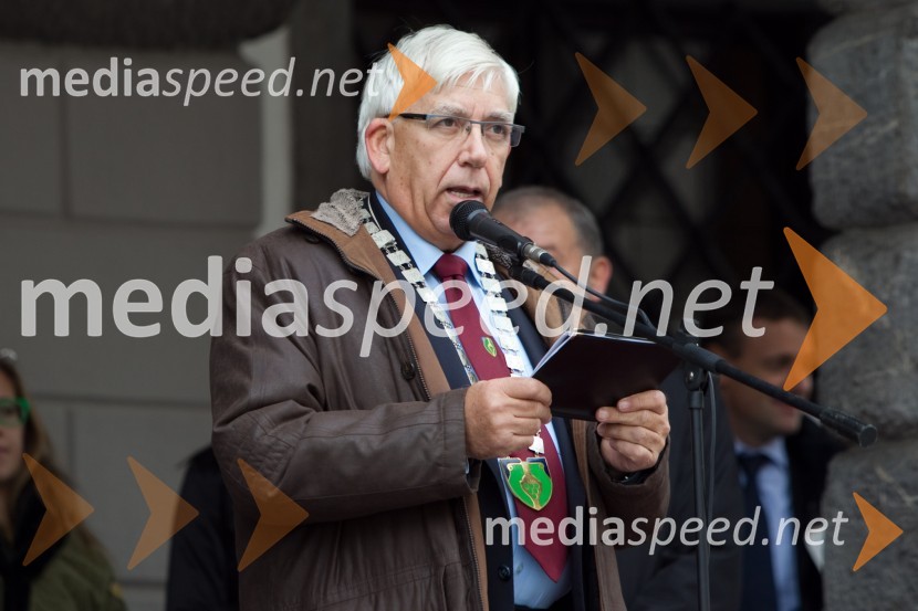 Aleks Štakul, nekdanji generalni direktor RTV SlovenijaMartinovanje v Ljubljani 2013