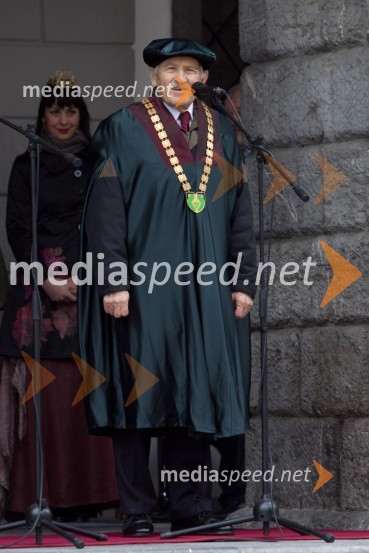 Milan KneževičMartinovanje v Ljubljani 2013