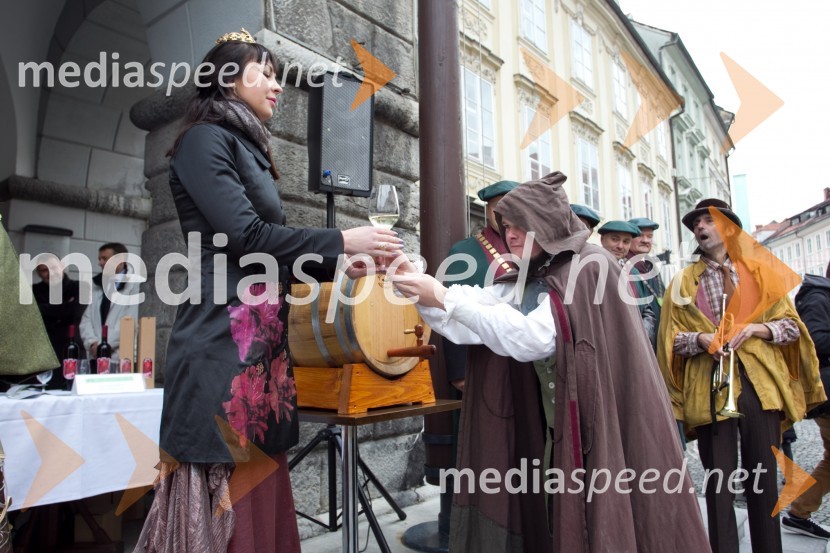 Neža Pavlič, vinska kraljica Slovenije 2013; ....Martinovanje v Ljubljani 2013