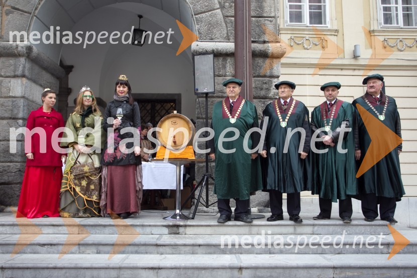 Krst vinaMartinovanje v Ljubljani 2013