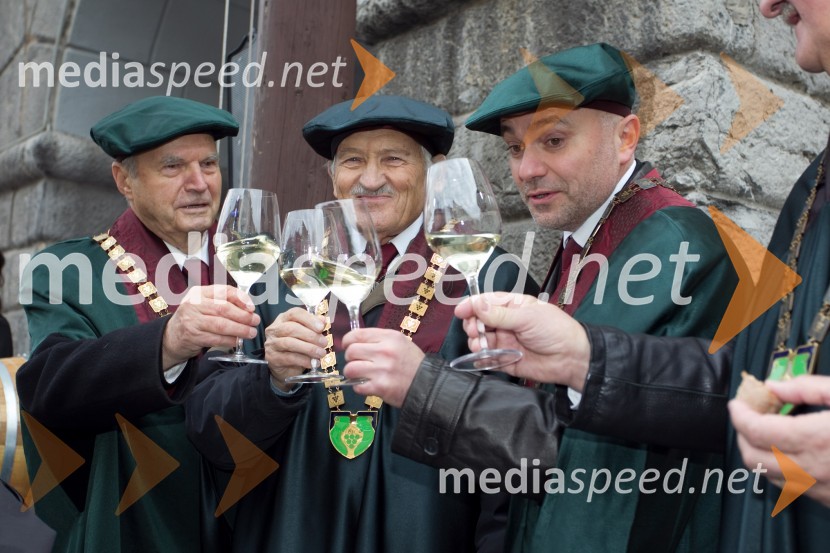 Milan Lovrenčič; Milan Kneževič; Dare SpenkoMartinovanje v Ljubljani 2013