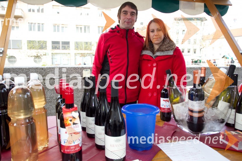 Primož Perne; Mirela FeličMartinovanje v Ljubljani 2013