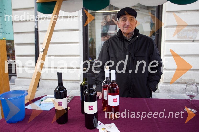 Tone UšajMartinovanje v Ljubljani 2013