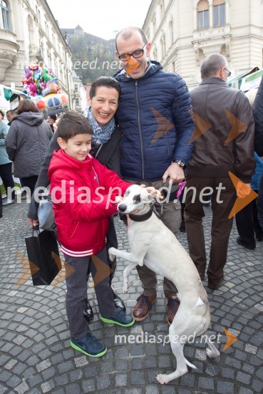 Aleksander; Betka Šuhel Mikolič, BPR; Dean MikoličMartinovanje v Ljubljani 2013