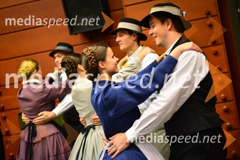 20 let prvega interdisciplinarnega študija na Univerzi v Mariboru20 let prvega interdisciplinarnega študija na Univerzi v Mariboru