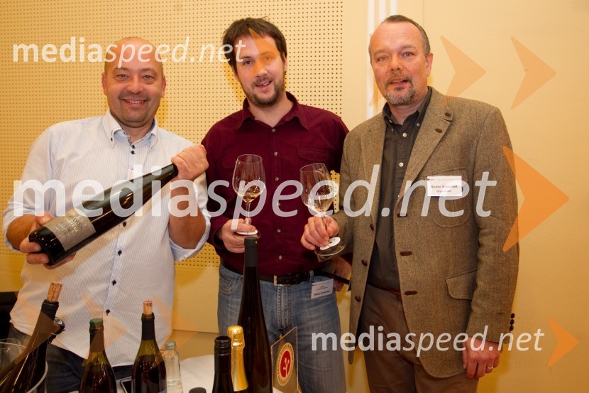 Boštjan Protner, Vina Protner; Matej Korenika; Bruno Gaberšek16. Slovenski festival vin in 6. Festival Kulinarike 2013