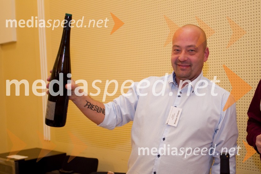 Boštjan Protner, Vina Protner16. Slovenski festival vin in 6. Festival Kulinarike 2013