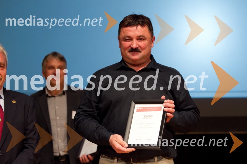 Peter Ferjančič, Vina Ferjančič16. Slovenski festival vin in 6. Festival Kulinarike 2013