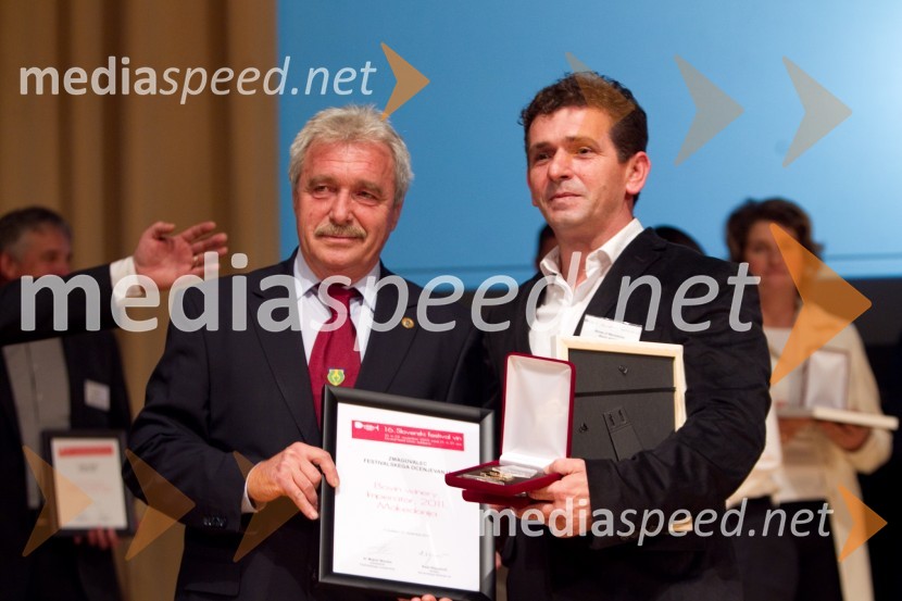 16. Slovenski festival vin in 6. Festival Kulinarike 2013