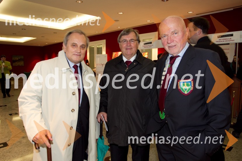 MIlan Pogačnik, nekdanji minister; Lojze Pleškovič, zdravnik; Joco Žnidaršič, fotograf16. Slovenski festival vin in 6. Festival Kulinarike 2013