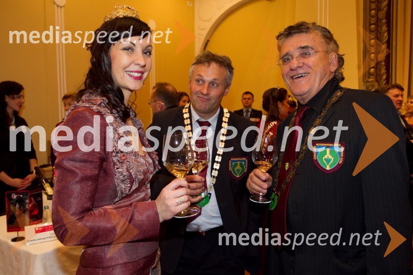 Neža Pavlič, vinska kraljica Slovenije 2013; Marinko Rodica, ekološko vinogradništvo Rodica; Venčeslav Pišot, zdravnik16. Slovenski festival vin in 6. Festival Kulinarike 2013
