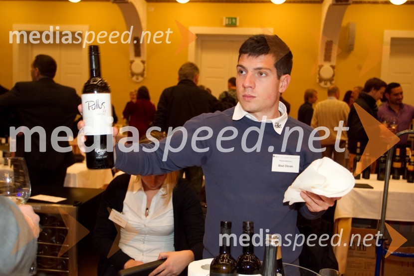 Blaž Obran, Ptujska klet16. Slovenski festival vin in 6. Festival Kulinarike 2013