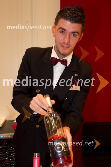 David Alaimo16. Slovenski festival vin in 6. Festival Kulinarike 2013