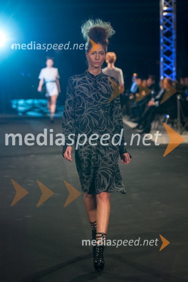 Mladi Trendi oblikovalec leta, modno umetniški dogodekMladi Trendi oblikovalec leta, modno umetniški dogodek