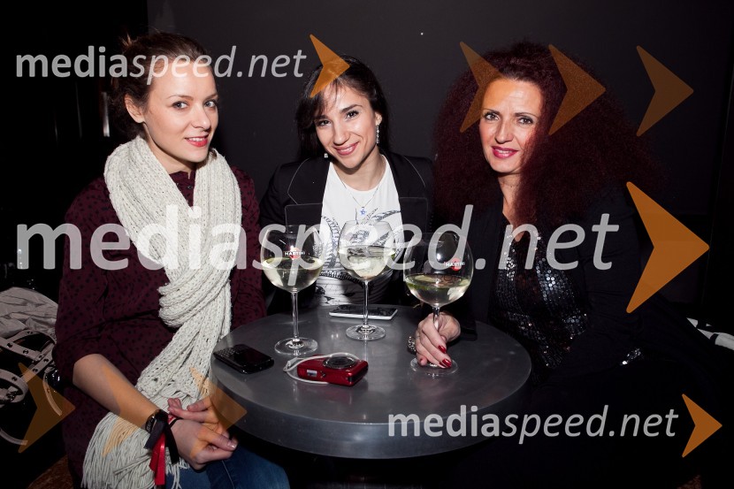 
..., Aleksandra Tasić, Pristop Srbija, Nataša Stojković, Profit magazin, Srbija
	SEMPL 2013