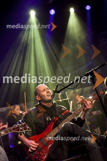 Niet, glasbena skupinaIzštekanih 20