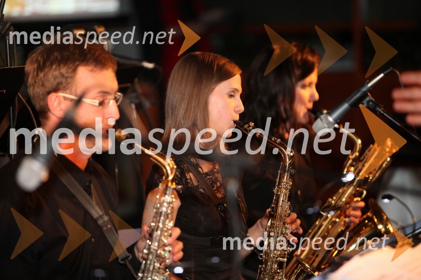 6. Dobrodelni Miklavžev koncert z Aniko Horvat