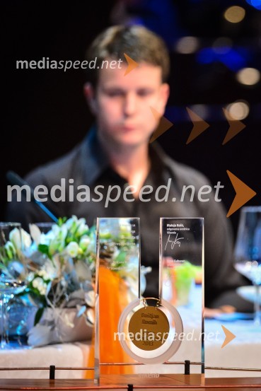 Vikendov GongVikendovi Gongi popularnosti, podelitev 2013