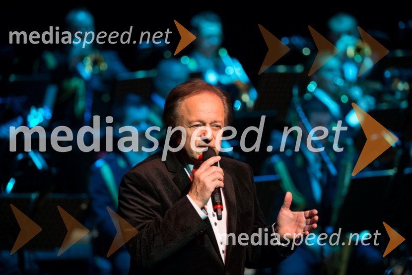 Alfi Nipič, pevecVikendovi Gongi popularnosti, podelitev 2013