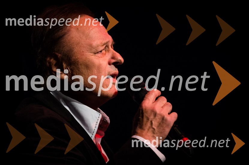 Alfi Nipič, pevecVikendovi Gongi popularnosti, podelitev 2013