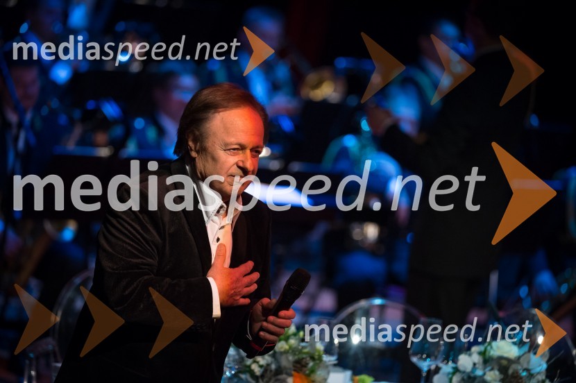 Alfi Nipič, pevecVikendovi Gongi popularnosti, podelitev 2013