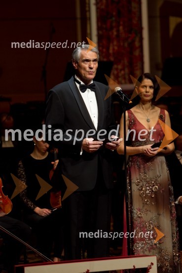 Slobodan Sibinčič, Švedski generalni častni konzulManagerski koncert 2013