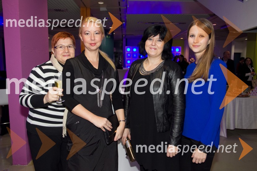 VIP Angelska zabava leta 2013