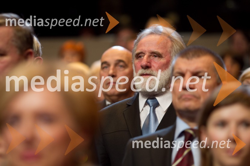 Matjaž Zanoškar, poslanecDržavna proslava ob dnevu samostojnosti in enotnosti 2013