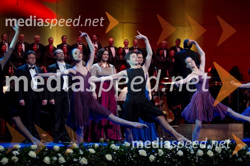 PlesalciDržavna proslava ob dnevu samostojnosti in enotnosti 2013