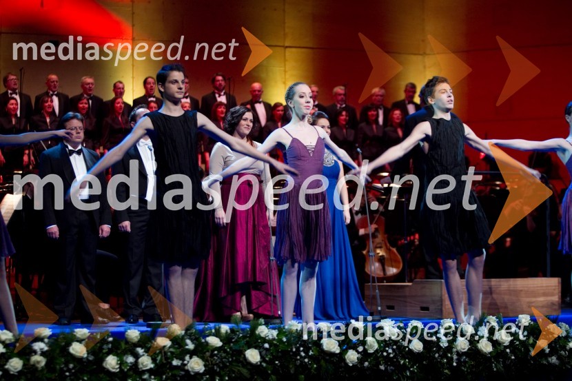 PlesalciDržavna proslava ob dnevu samostojnosti in enotnosti 2013