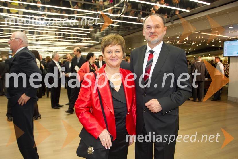 Mediaspeed Državna proslava ob dnevu samostojnosti in enotnosti 2013