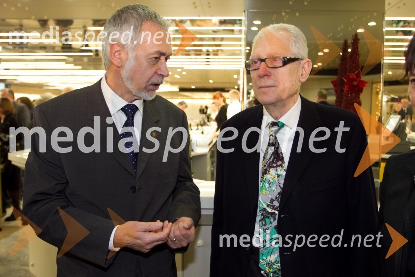 Državna proslava ob dnevu samostojnosti in enotnosti 2013