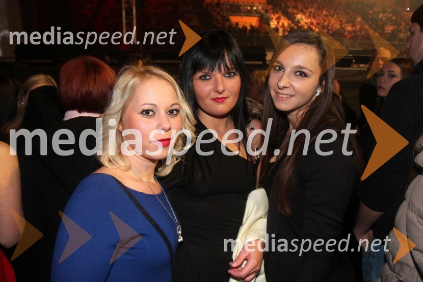 ObiskovalkeSeverina, zaključek turneje Dobrodošao u klub 2013