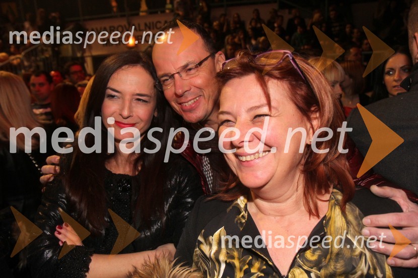 ObiskovalciSeverina, zaključek turneje Dobrodošao u klub 2013