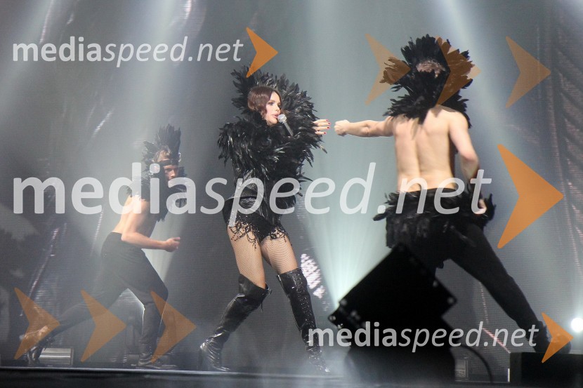 Severina, pevkaSeverina, zaključek turneje Dobrodošao u klub 2013