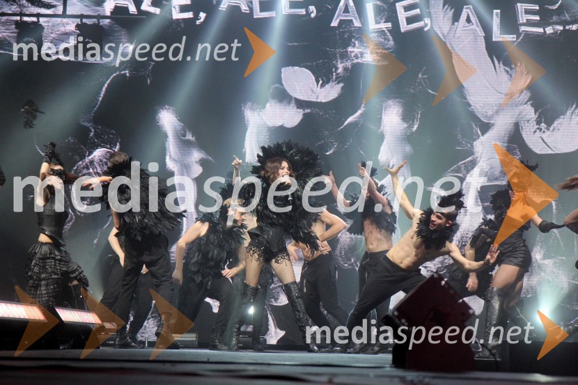 Severina, pevka; MaestroSeverina, zaključek turneje Dobrodošao u klub 2013