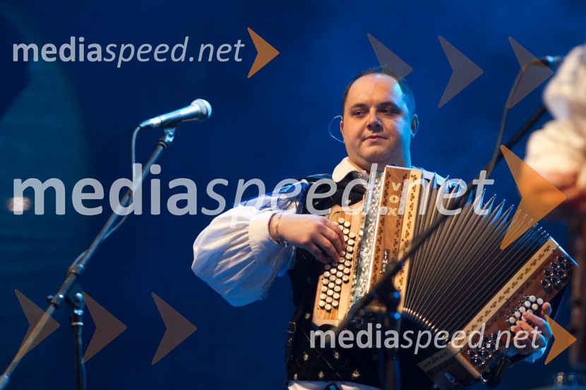 Rok Švab, član skupine ModrijaniModrijani in Rok'n'band, koncert