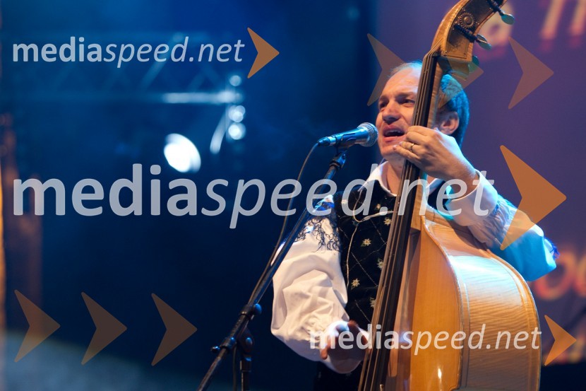 Franjo Oset, član skupine ModrijaniModrijani in Rok'n'band, koncert