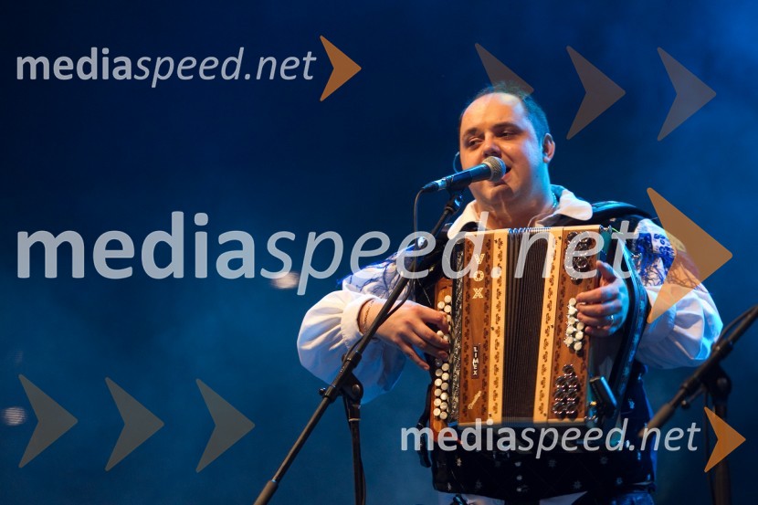 Rok Švab, član skupine ModrijaniModrijani in Rok'n'band, koncert