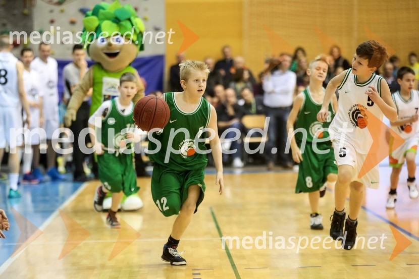 All Stars v košarki