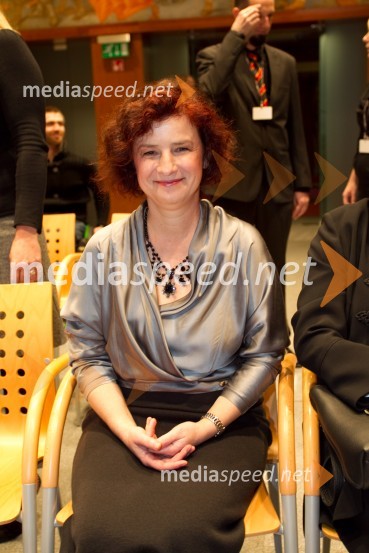 Pika Rajnar, nominiranka za Slovenko leta 2013;Slovenka leta 2013, sprejem kandidatk v Državnem zboru