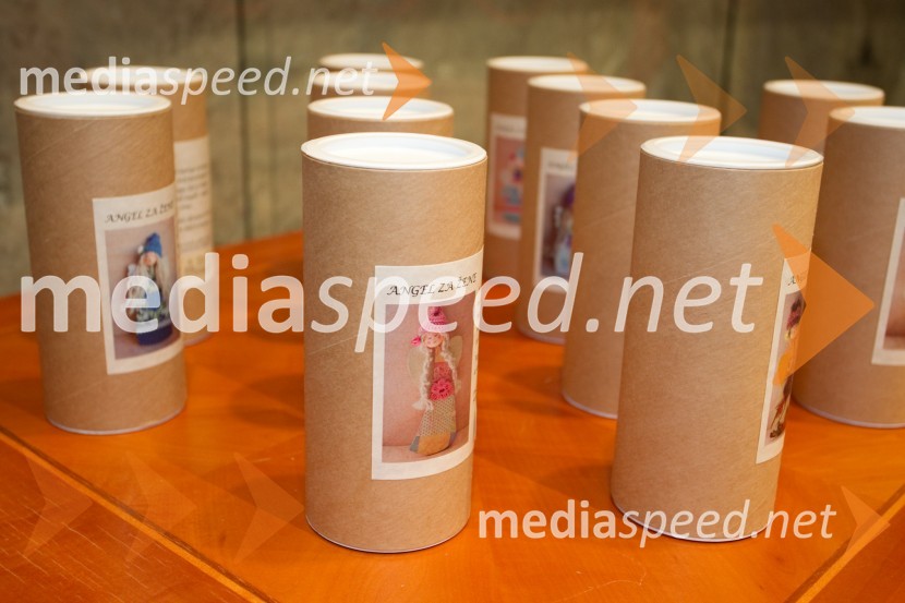 Slovenka leta 2013, sprejem kandidatk v Državnem zboruSlovenka leta 2013, sprejem kandidatk v Državnem zboru