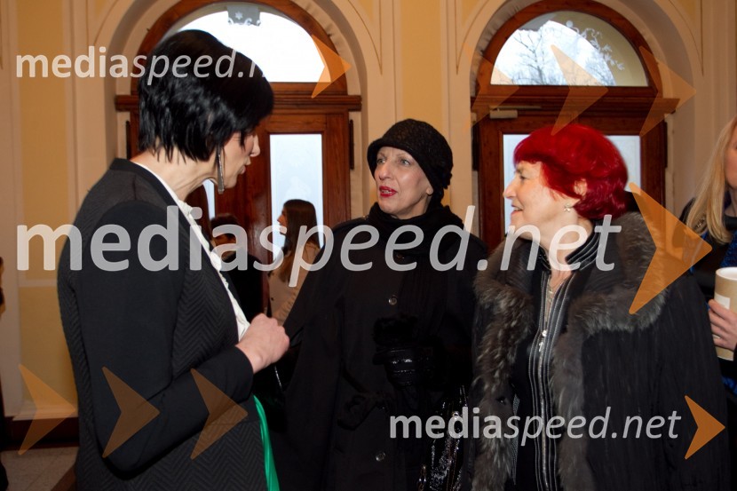 Melita Berzelak, urednica revije Jana; Viktorija Potočnik, direktorica Pionirskega doma; Mojca Senčar, Europa DonnaSlovenka leta 2013 je Eugenija Carl